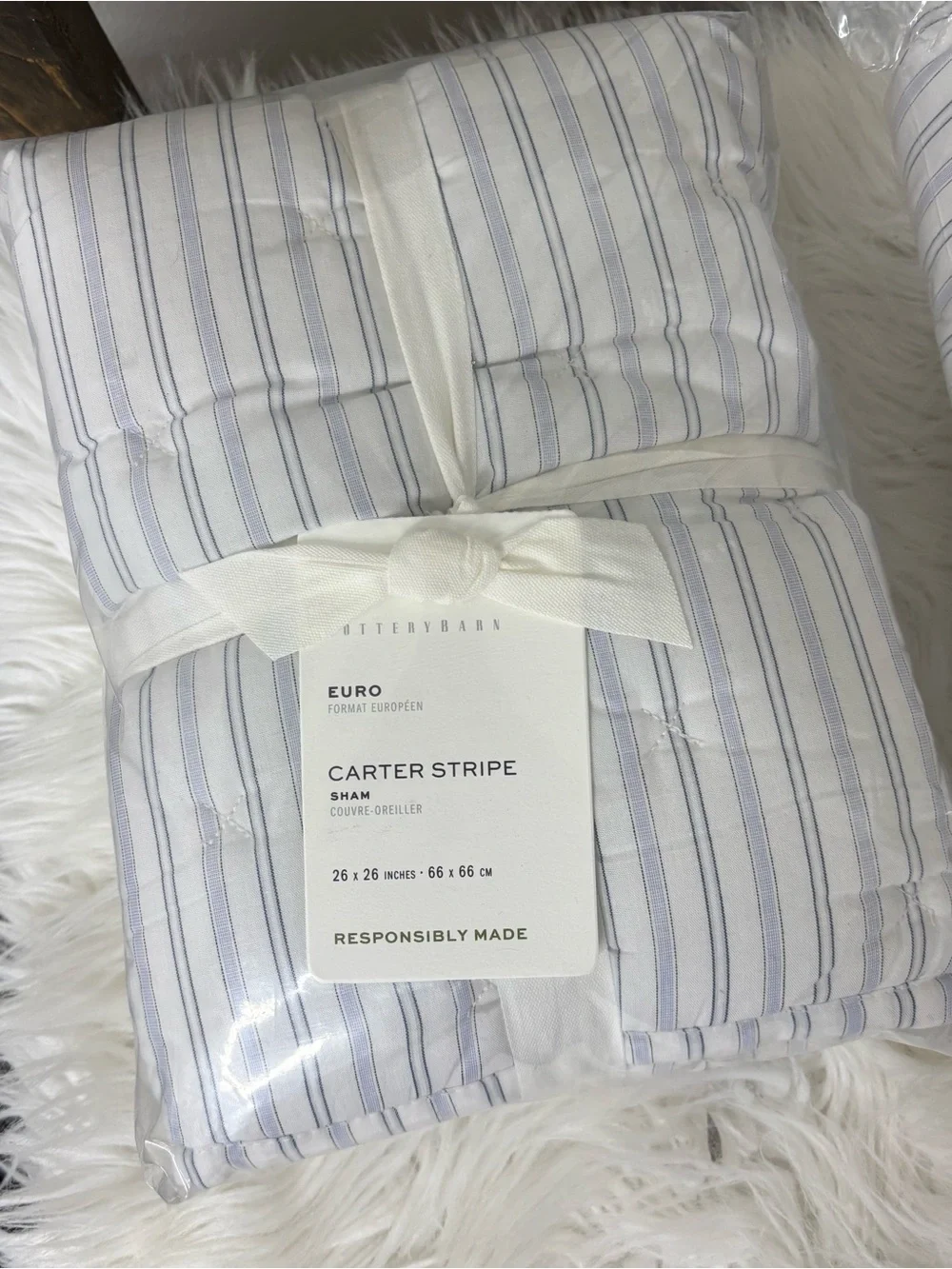 Pottery Barn Carter Stripe Blue & White Euro Pillow Shams (2)